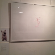 dogs art gallery exhibition puppies battersea